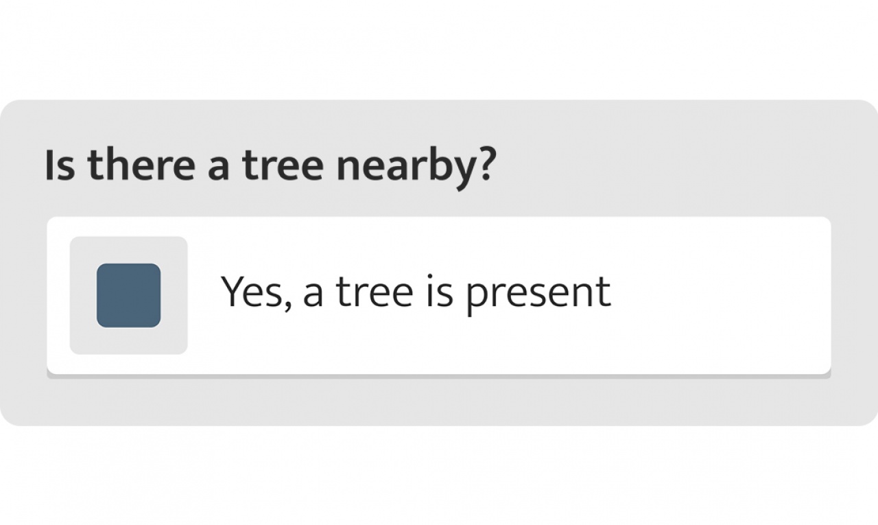 Checkboxes - SPOTTERON Citizen Science