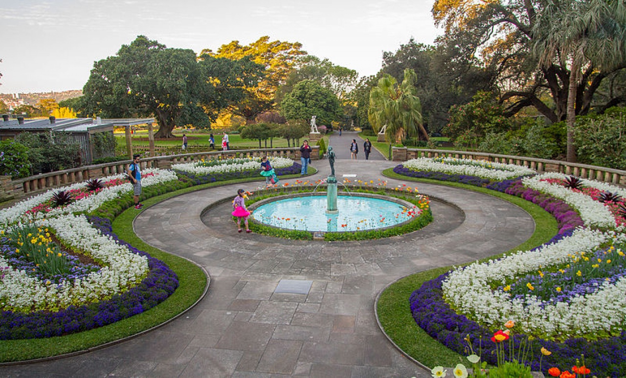 royal-botanic-garden-sydney-spotteron-citizen-science